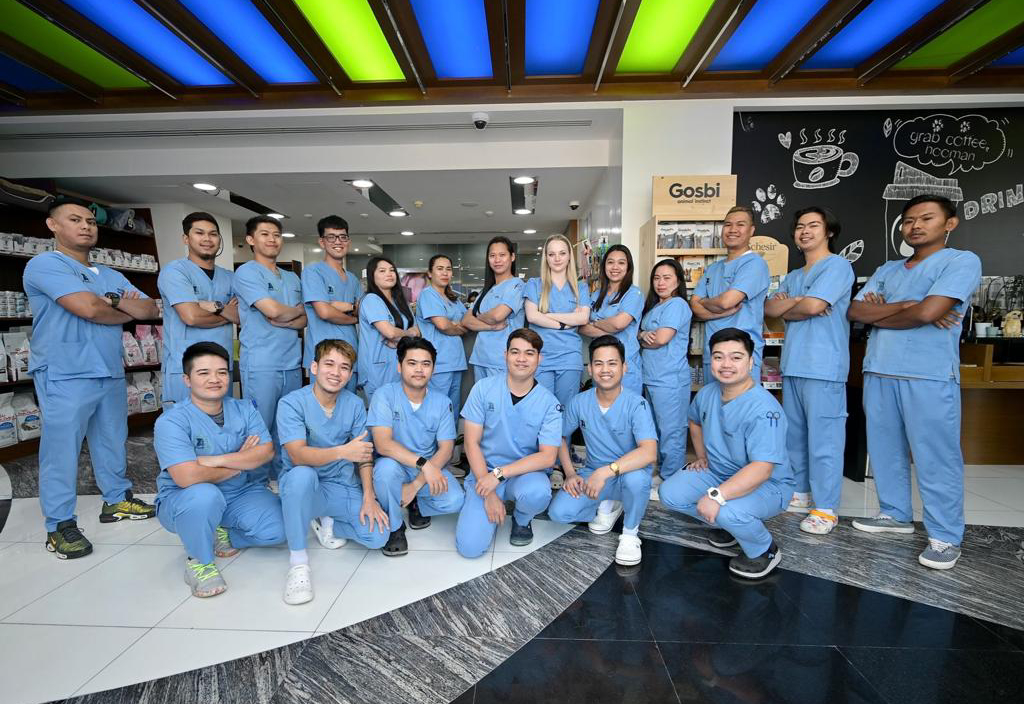 Nurses Veterinary Treatment Dubai