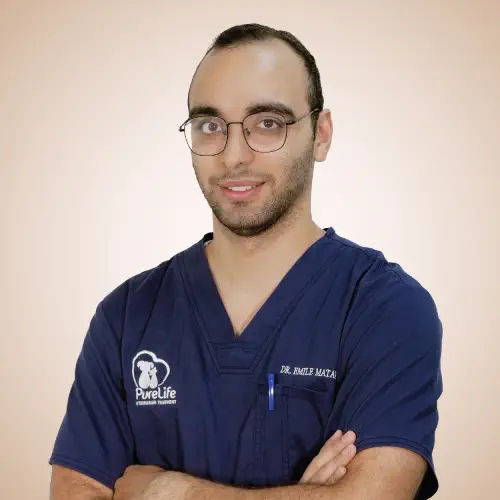 Dr. Emile 2 1 Veterinary Treatment Dubai