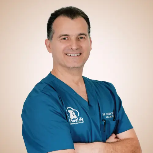 Dr Sasha Mlinar Veterinary Treatment Dubai