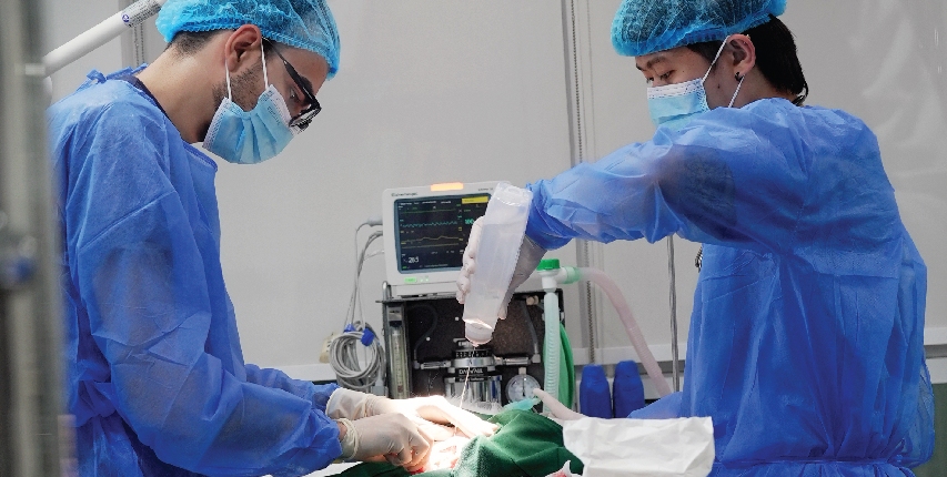 Surgical Care img 1 Veterinary Treatment Dubai