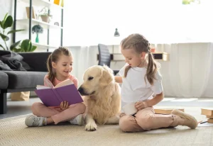 2 Teach readers how to care for senior pets Veterinary Treatment Dubai