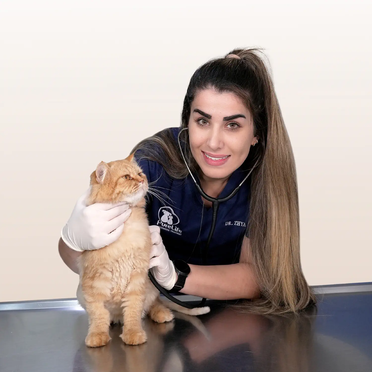 Main banner 1080X1080 01 1 Veterinary Treatment Dubai