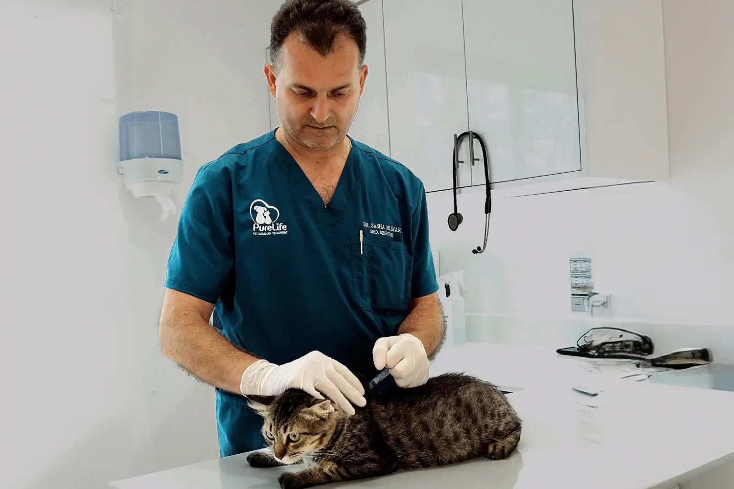 Vaccinations Prevention 1 Veterinary Treatment Dubai