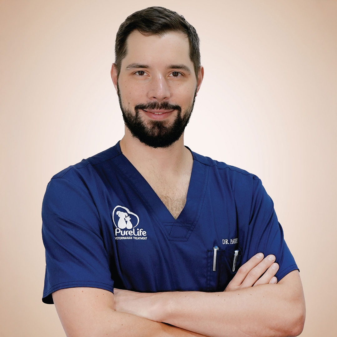 Dr Pavel 1080X1080 Veterinary Treatment Dubai