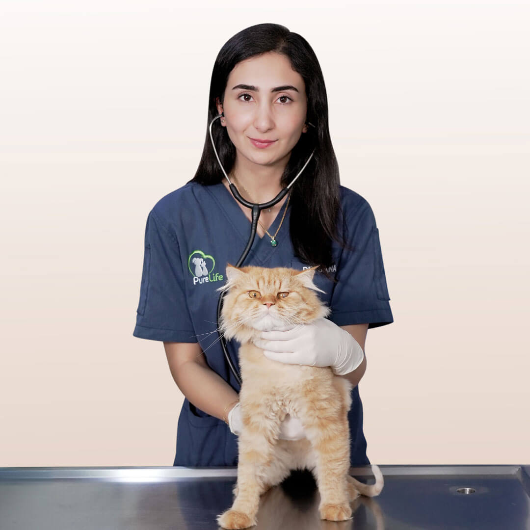 2 Main banner 1080X1080 01 Veterinary Treatment Dubai