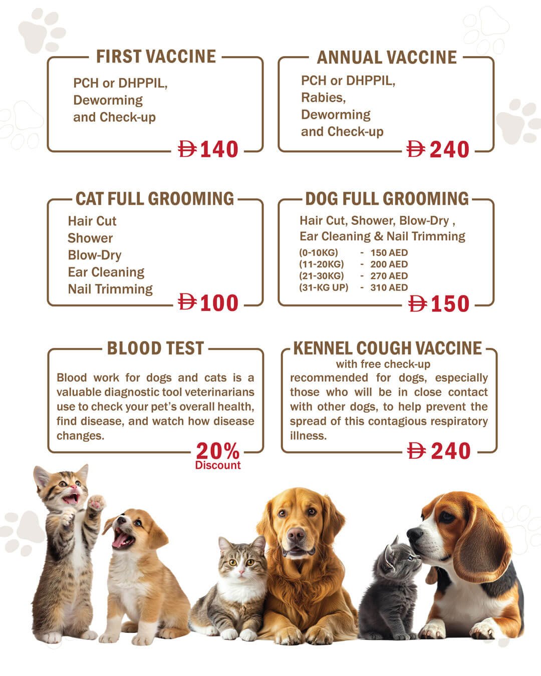 July Offer 2025 website 02 1 Veterinary Treatment Dubai