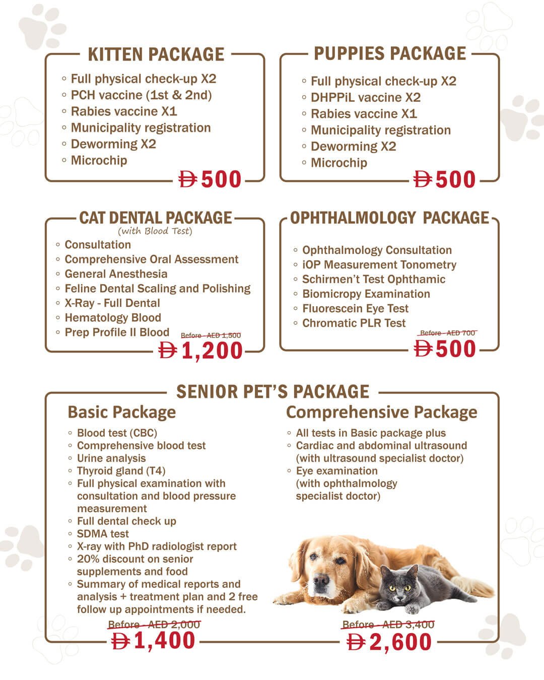 August Offer 2025 website 02 Veterinary Treatment Dubai