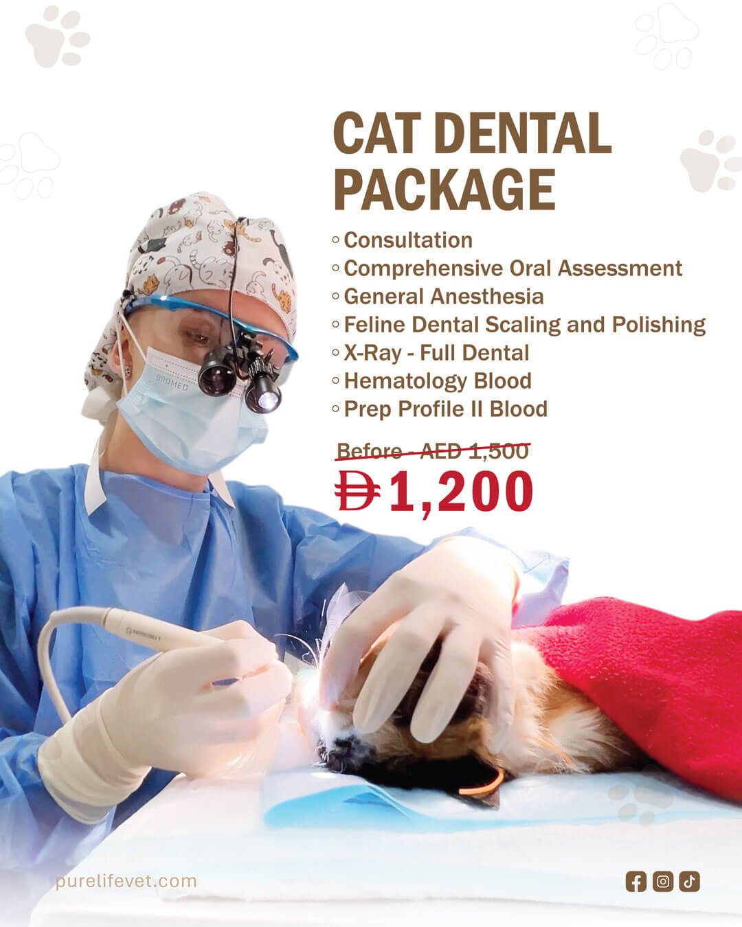 Offers and Packages 2025 09 Veterinary Treatment Dubai