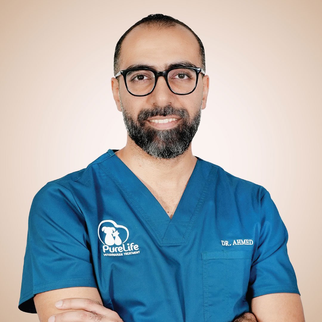 Dr. Ahmed 1080 Veterinary Treatment Dubai