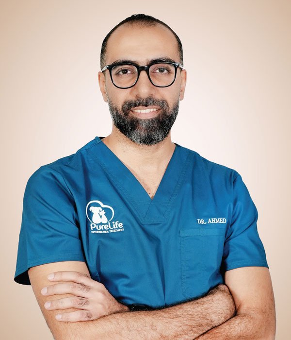 Dr. Ahmed 600X700 Veterinary Treatment Dubai