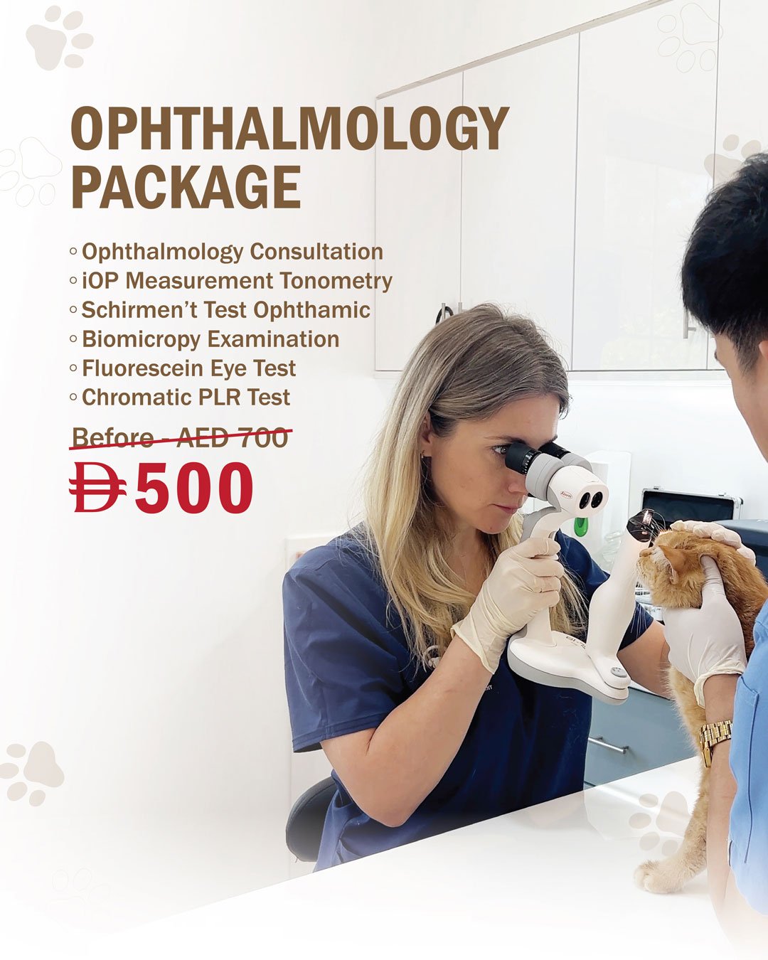 Sept Offers and Packages 2025 08 Veterinary Treatment Dubai