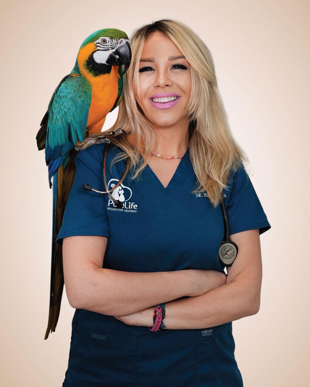 About 4 Doctor with Animals 01 Veterinary Treatment Dubai