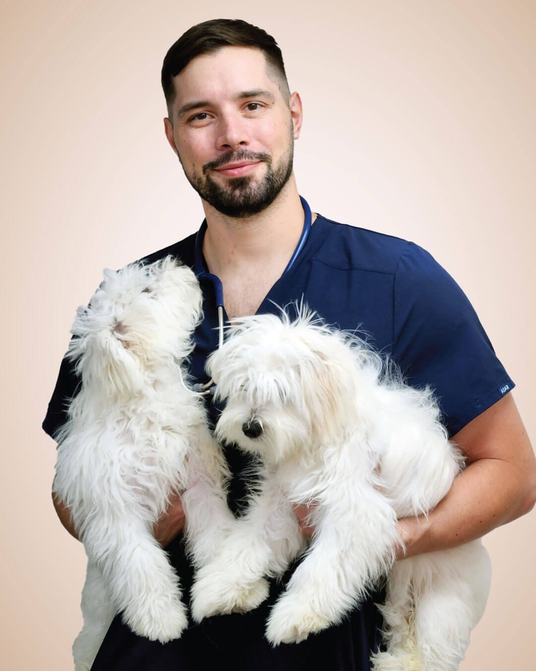 About 5 Doctor with Animals 02 Veterinary Treatment Dubai