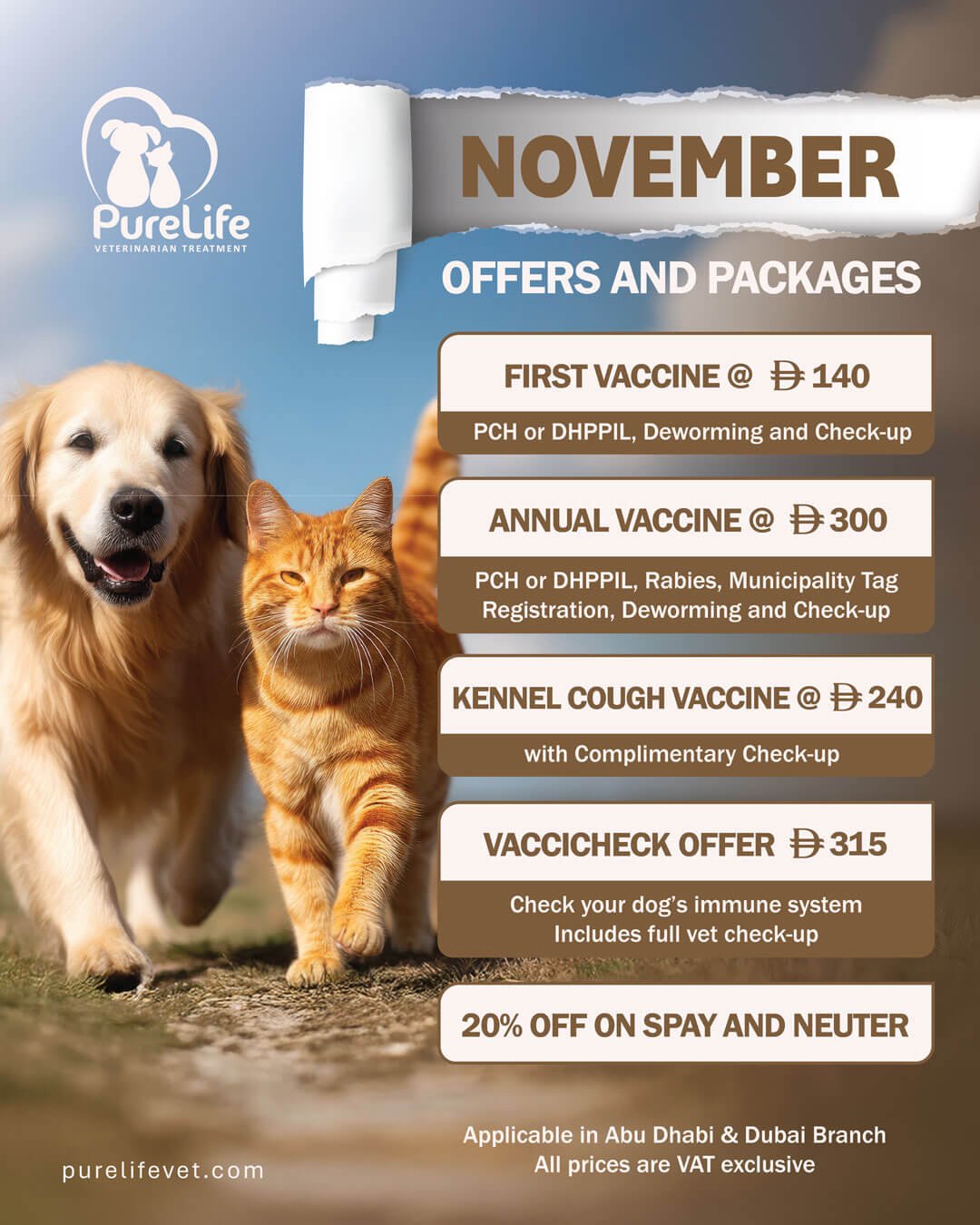 PLVT November Offer 01 Veterinary Treatment Dubai