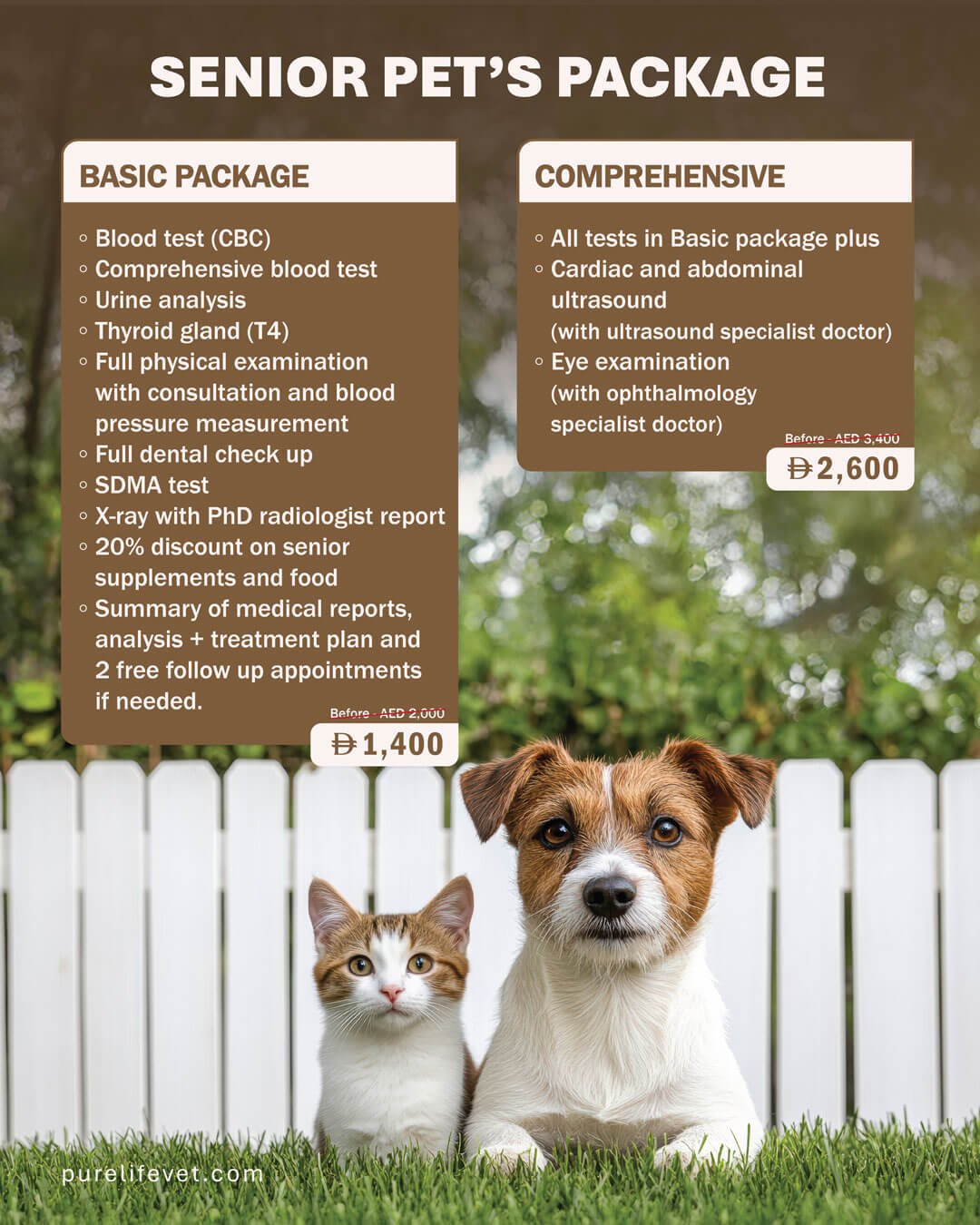 PLVT November Offer 03 Veterinary Treatment Dubai