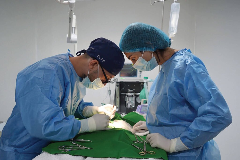 Surgical Care 1 Veterinary Treatment Dubai