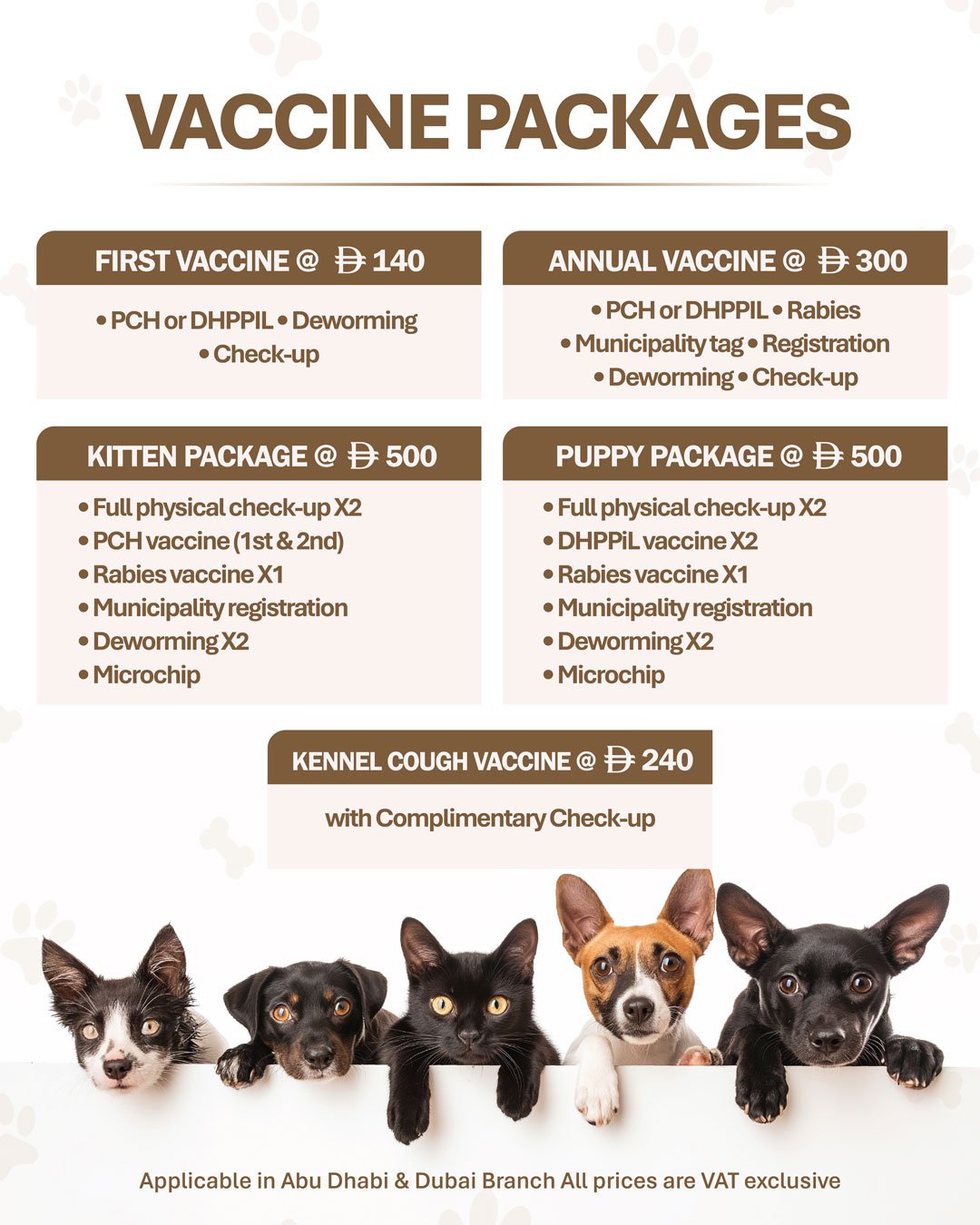 February Offer 2026 01 Veterinary Treatment Dubai