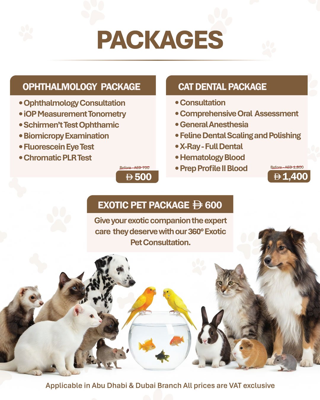 February Offer 2026 02 Veterinary Treatment Dubai