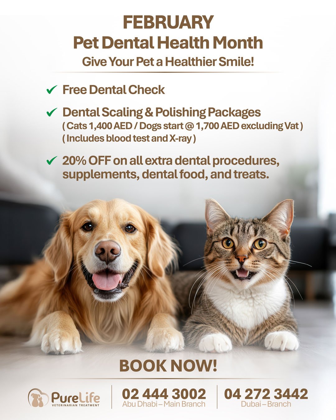 February is Pet Dental Health Month 01 Veterinary Treatment Dubai