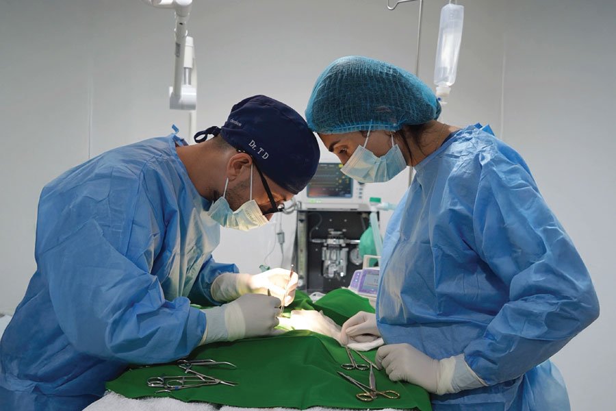1 Surgical CareServices 1 Veterinary Treatment Dubai