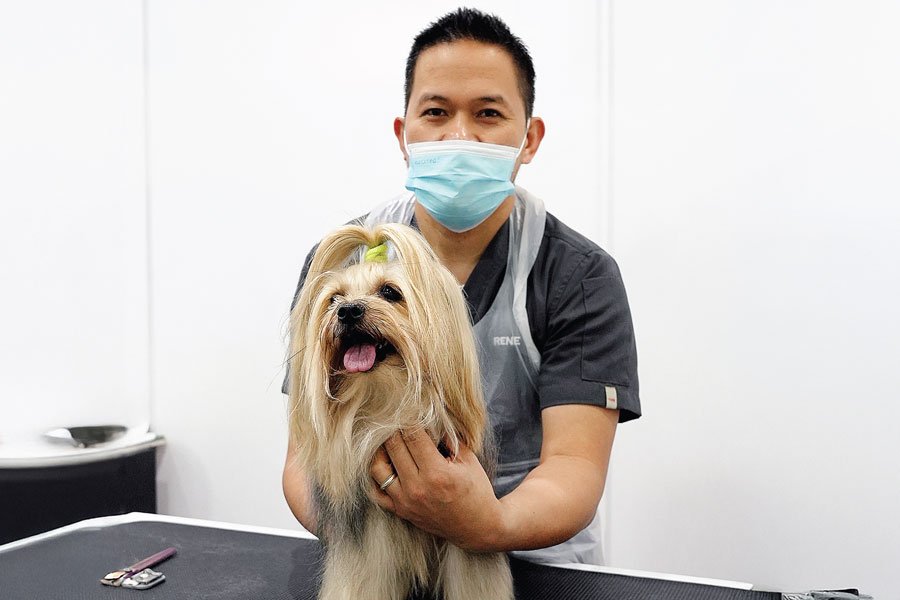 11 Grooming ServicesServices 1 Veterinary Treatment Dubai