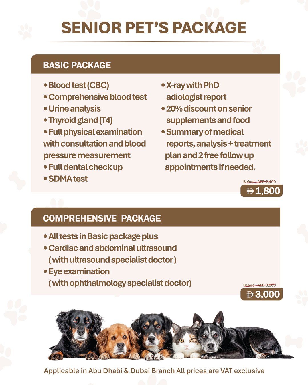 April Offer 2026 03 Veterinary Treatment Dubai