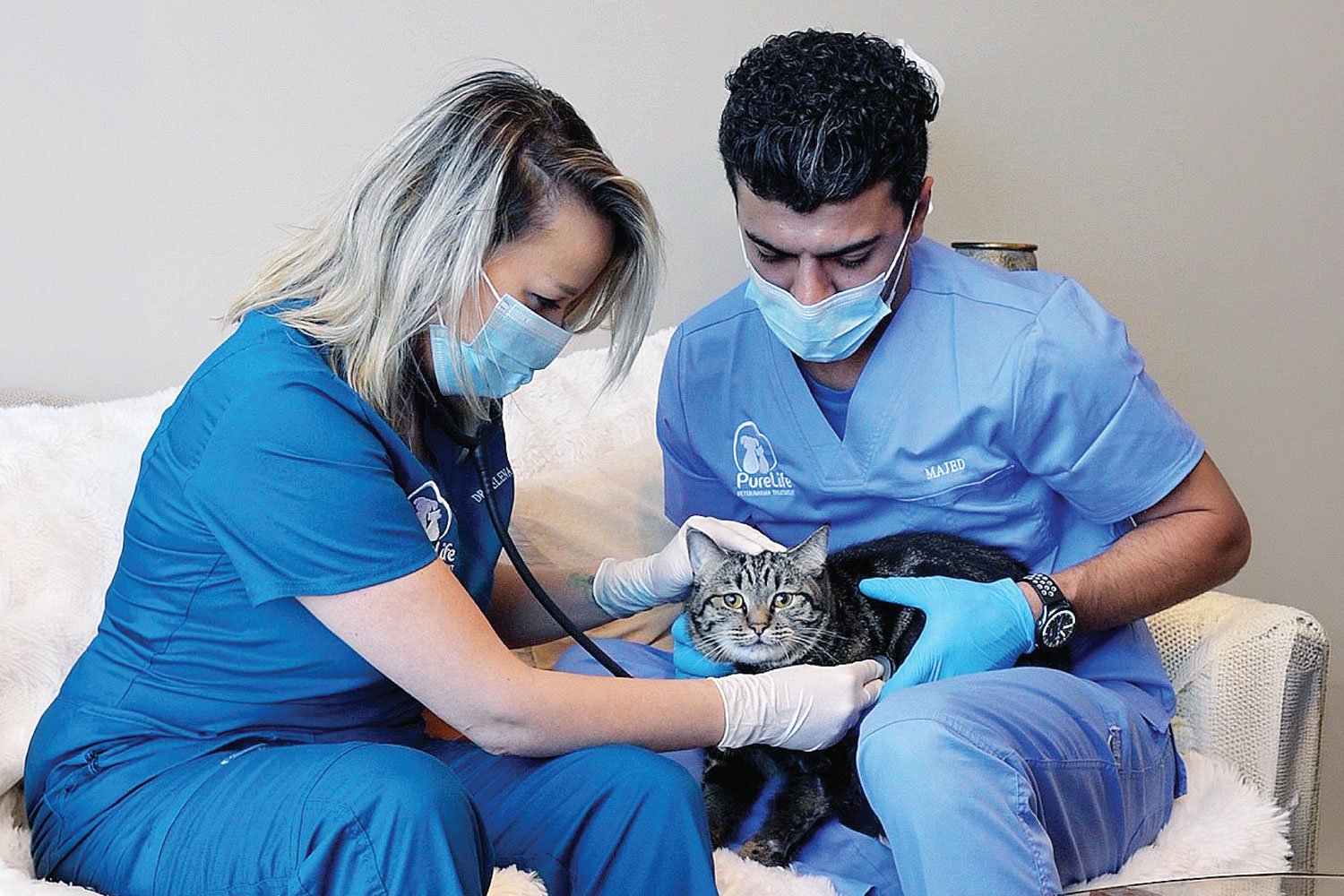 Home Visit Service 1 Veterinary Treatment Dubai