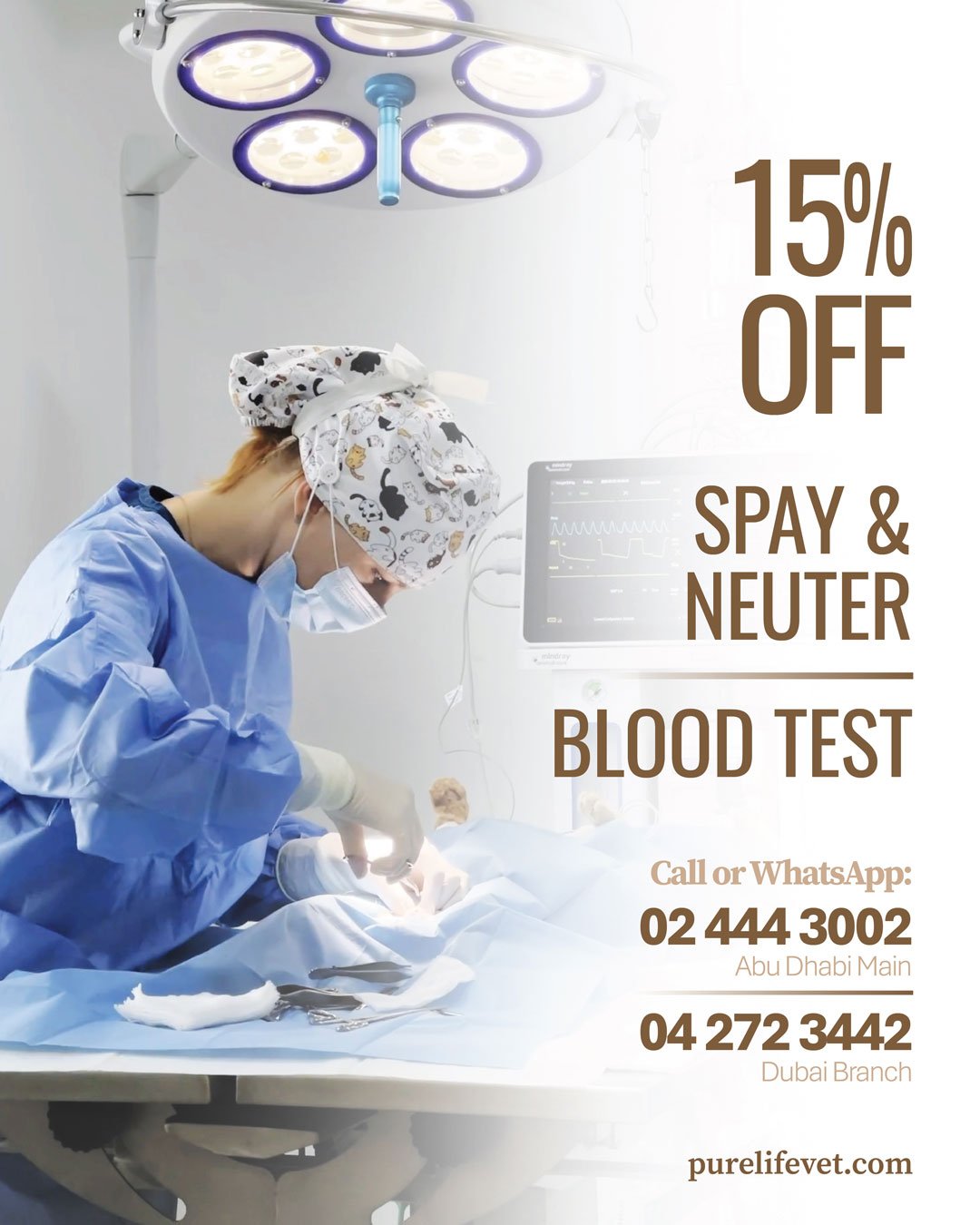 15 OFF on Blood Tests and Spay Neuter 01 Veterinary Treatment Dubai