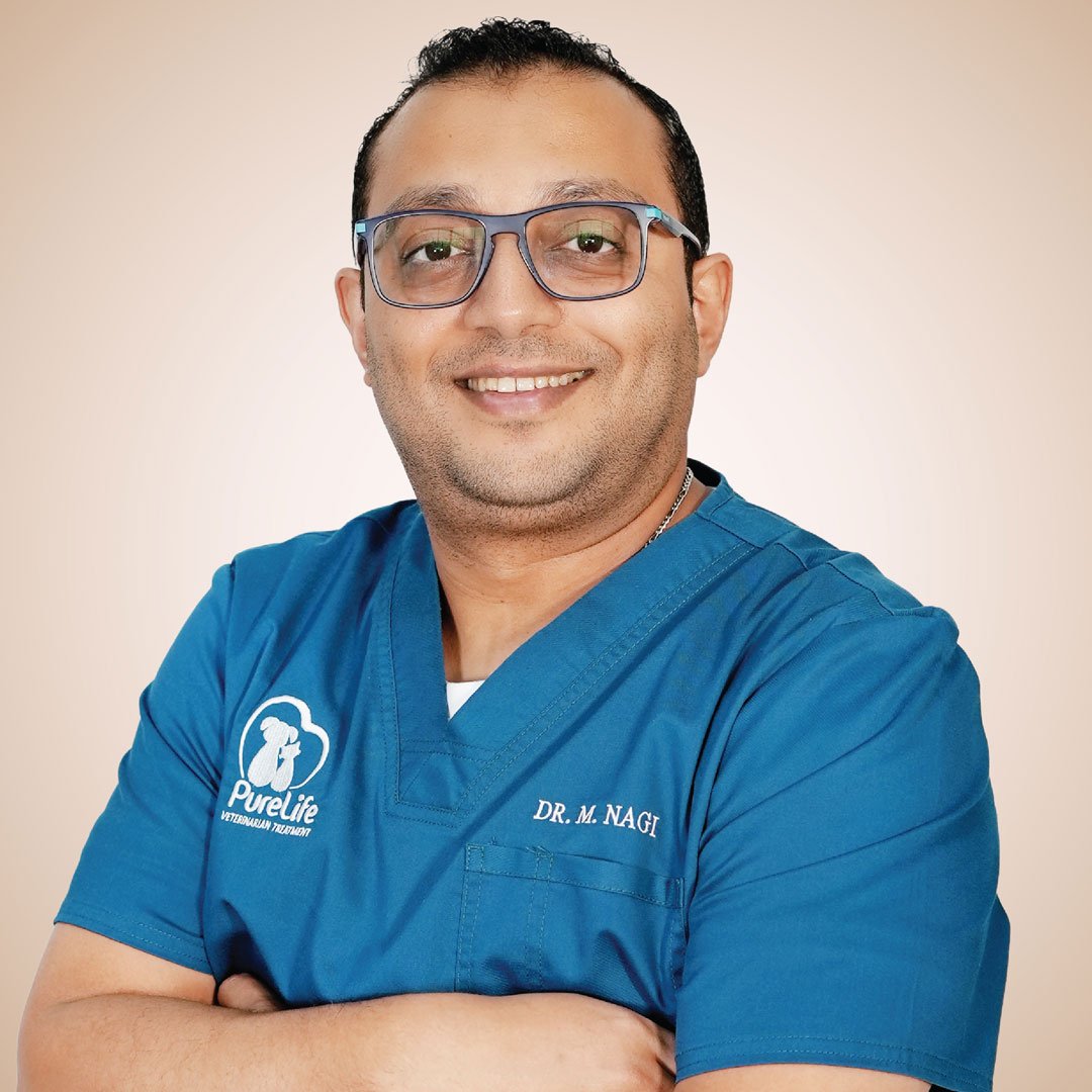 Dr Nagi Profile Photo 1080 Veterinary Treatment Dubai